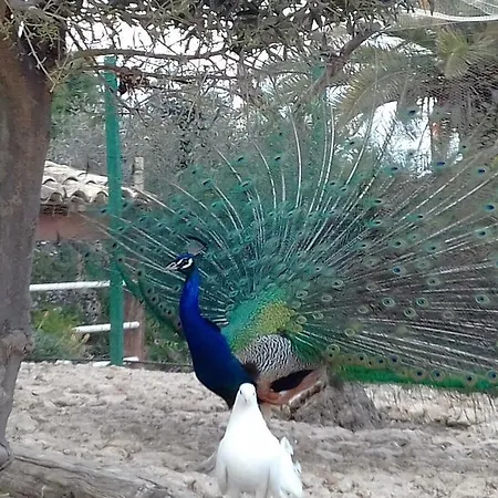 Tenuta Roveto Station touristique *