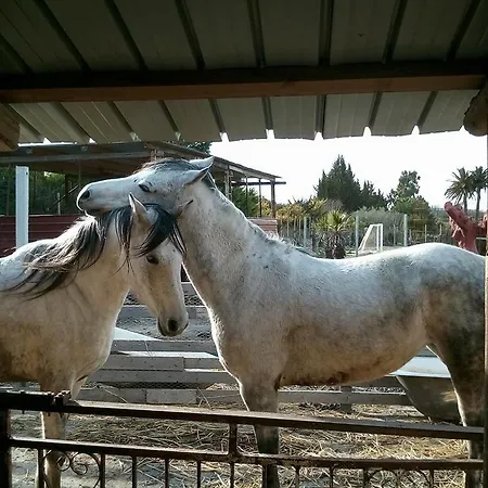 Tenuta Roveto Station touristique