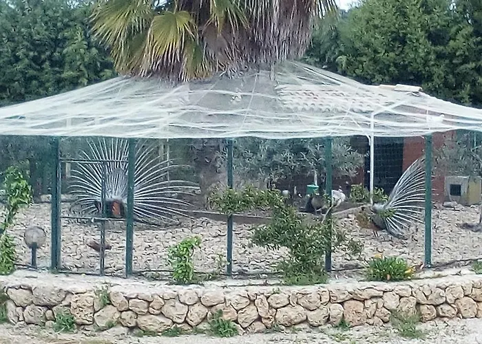 Tenuta Roveto Rezort *