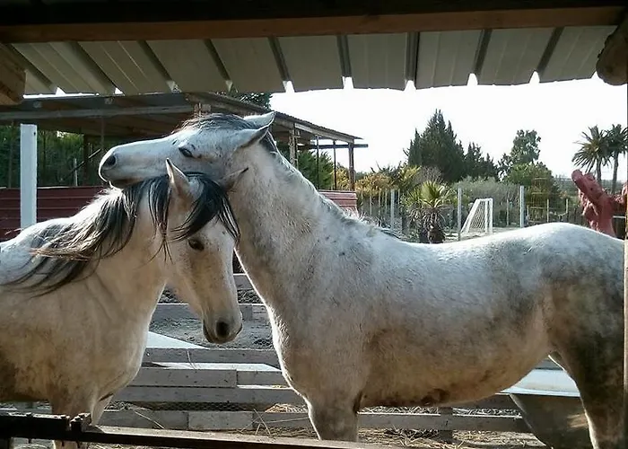 Tenuta Roveto Rezort
